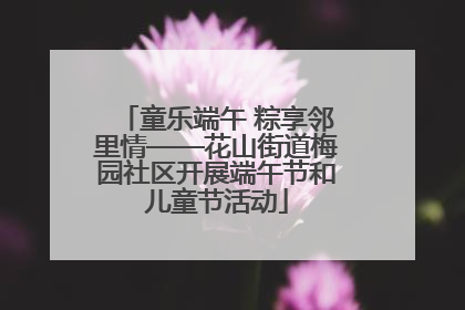 童乐端午 粽享邻里情——花山街道梅园社区开展端午节和儿童节活动