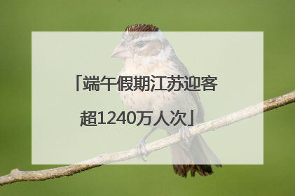 端午假期江苏迎客超1240万人次