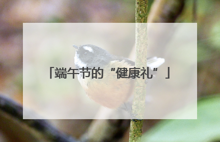 端午节的“健康礼”