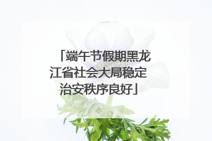 端午节假期黑龙江省社会大局稳定治安秩序良好