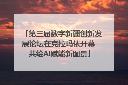 第三届数字新疆创新发展论坛在克拉玛依开幕 共绘AI赋能新图景