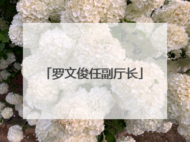 罗文俊任副厅长