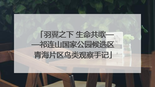 羽翼之下 生命共歌——祁连山国家公园候选区青海片区鸟类观察手记