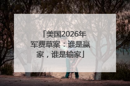 美国2026年军费草案：谁是赢家，谁是输家