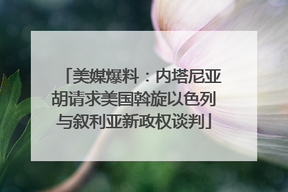 美媒爆料：内塔尼亚胡请求美国斡旋以色列与叙利亚新政权谈判