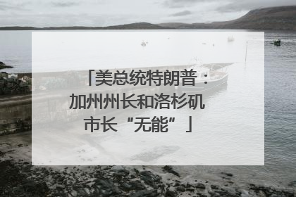 美总统特朗普：加州州长和洛杉矶市长“无能”