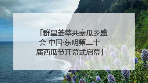群星荟萃共襄瓜乡盛会 中国·东明第二十届西瓜节开幕式启幕