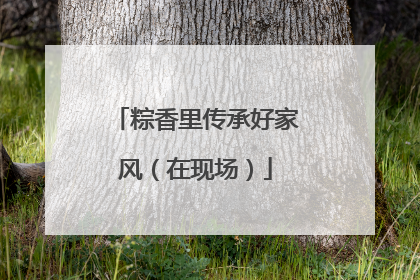 粽香里传承好家风（在现场）