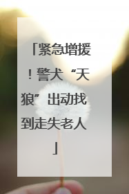 紧急增援！警犬“天狼”出动找到走失老人