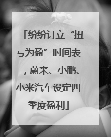 纷纷订立“扭亏为盈”时间表，蔚来、小鹏、小米汽车设定四季度盈利
