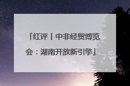 红评丨中非经贸博览会：湖南开放新引擎