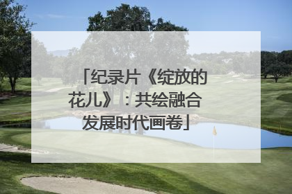 纪录片《绽放的花儿》：共绘融合发展时代画卷