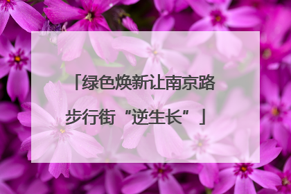 绿色焕新让南京路步行街“逆生长”