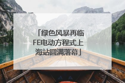 绿色风暴再临 FE电动方程式上海站圆满落幕