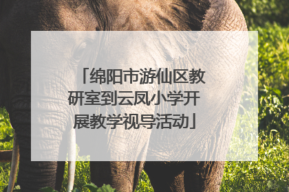 绵阳市游仙区教研室到云凤小学开展教学视导活动