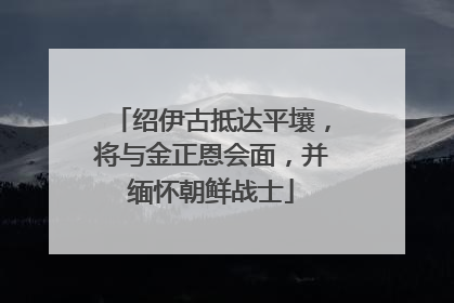 绍伊古抵达平壤，将与金正恩会面，并缅怀朝鲜战士