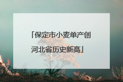 保定市小麦单产创河北省历史新高