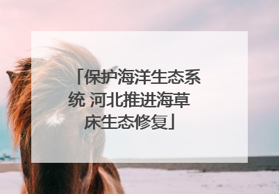 保护海洋生态系统 河北推进海草床生态修复