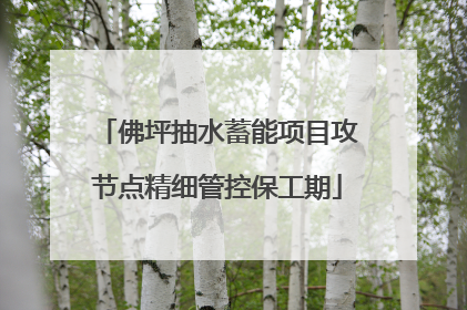 佛坪抽水蓄能项目攻节点精细管控保工期