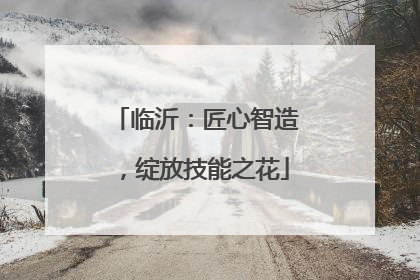 临沂：匠心智造，绽放技能之花