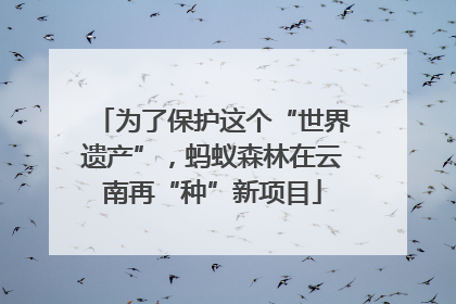 为了保护这个“世界遗产”，蚂蚁森林在云南再“种”新项目