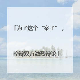 为了这个“案子”，控辩双方激烈辩论