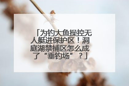 为钓大鱼操控无人艇进保护区！洞庭湖禁捕区怎么成了“垂钓场”？