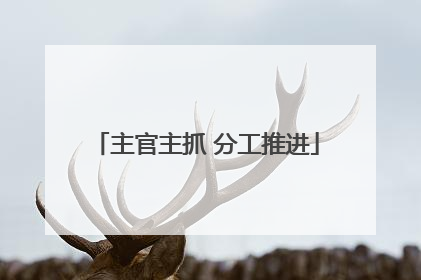 主官主抓 分工推进