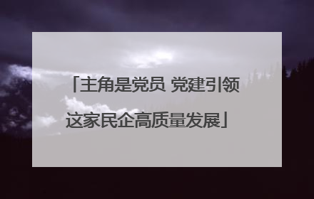主角是党员 党建引领这家民企高质量发展