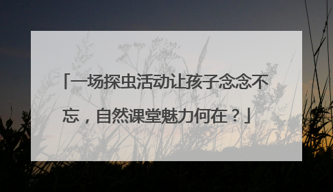 一场探虫活动让孩子念念不忘，自然课堂魅力何在？