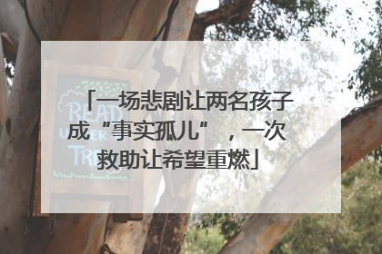 一场悲剧让两名孩子成“事实孤儿”，一次救助让希望重燃
