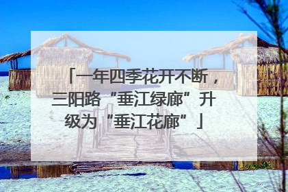 一年四季花开不断，三阳路“垂江绿廊”升级为“垂江花廊”