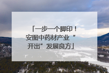 一步一个脚印！安图中药材产业“开出”发展良方