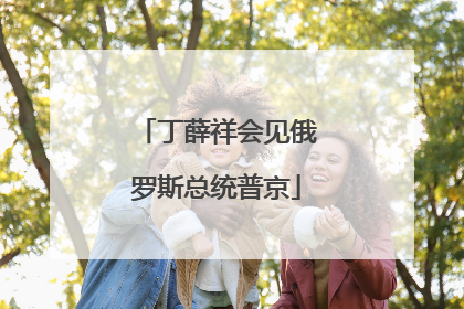 丁薛祥会见俄罗斯总统普京
