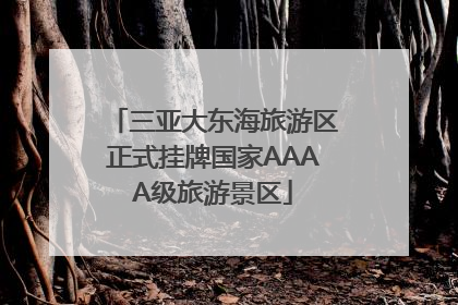 三亚大东海旅游区正式挂牌国家AAAA级旅游景区