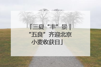 三夏“丰”景｜“五良”齐迎北京小麦收获日