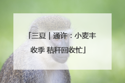 三夏｜通许：小麦丰收季 秸秆回收忙