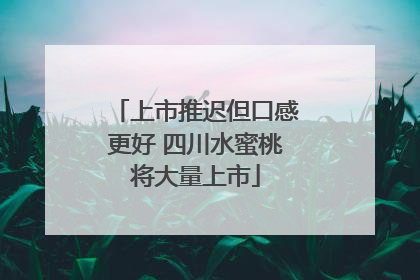 上市推迟但口感更好 四川水蜜桃将大量上市