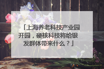上海养老科技产业园开园，硬核科技将给银发群体带来什么？