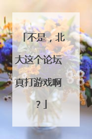 不是，北大这个论坛真打游戏啊？