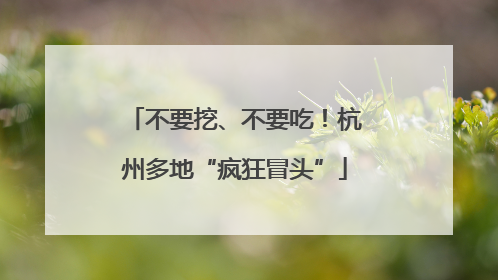 不要挖、不要吃！杭州多地“疯狂冒头”