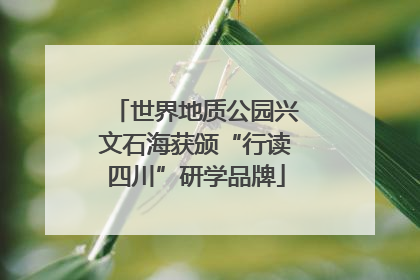 世界地质公园兴文石海获颁“行读四川”研学品牌