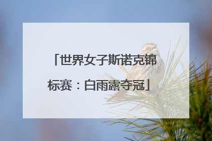世界女子斯诺克锦标赛：白雨露夺冠