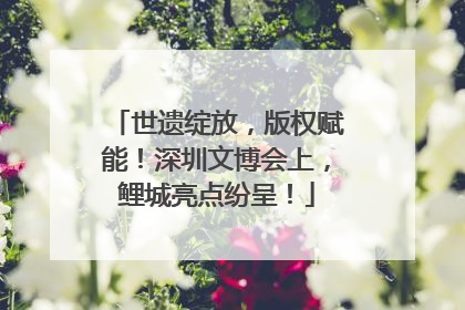 世遗绽放，版权赋能！深圳文博会上，鲤城亮点纷呈！