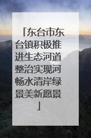 东台市东台镇积极推进生态河道整治实现河畅水清岸绿景美新愿景