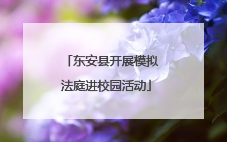 东安县开展模拟法庭进校园活动