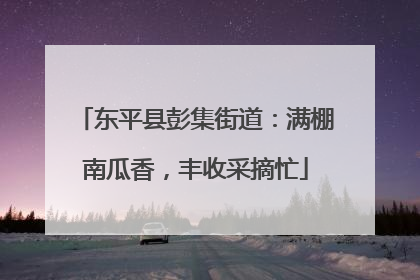 东平县彭集街道：满棚南瓜香，丰收采摘忙