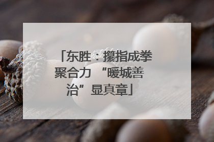 东胜：攥指成拳聚合力 “暖城善治”显真章