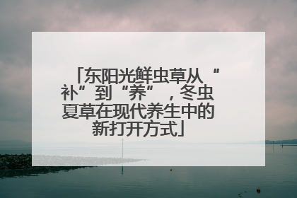 东阳光鲜虫草从“补”到“养”，冬虫夏草在现代养生中的新打开方式