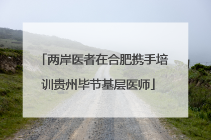 两岸医者在合肥携手培训贵州毕节基层医师